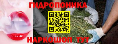 твердый Моздок