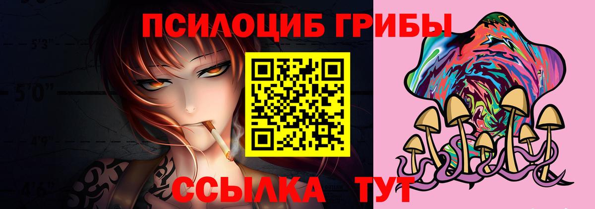 Галлюциногенные грибы прущие грибы Елец
